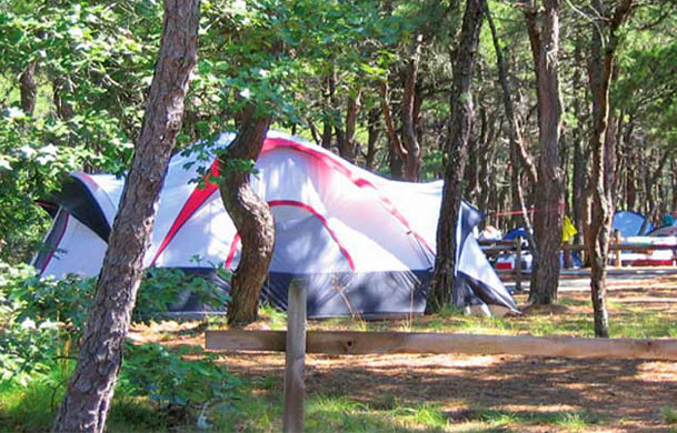 Tent Rental - Hortons